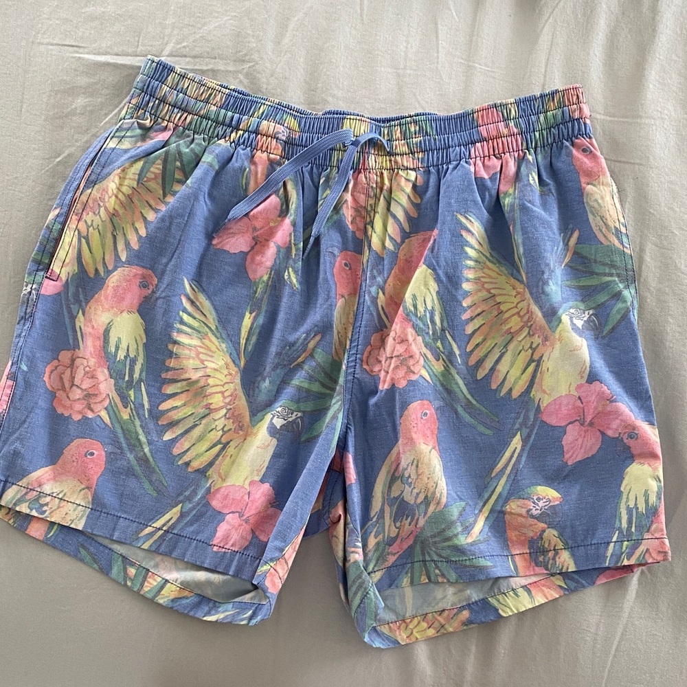 Chubbies Swim Shorts